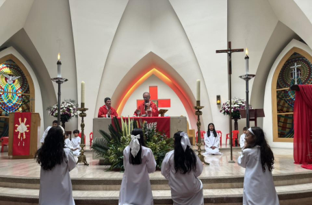 Domingo ramos