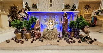 Pesebre Torcoroma Bogotá