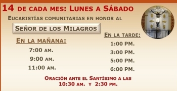 14 día del Señor de los Milagros